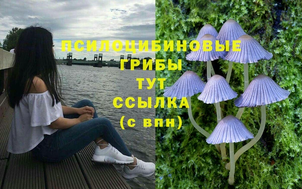 дистиллят марихуана Медвежьегорск