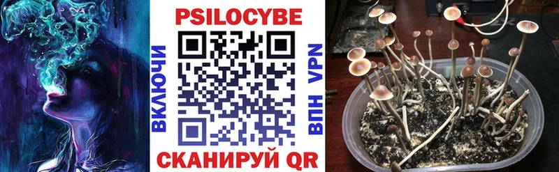 Псилоцибиновые грибы мухоморы  Альметьевск 