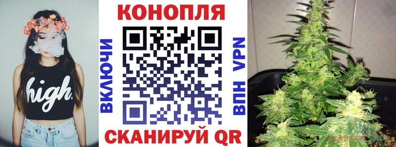купить закладку  Альметьевск  Канабис SATIVA & INDICA 